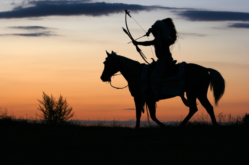 silhouette, indian, man, animal, scenics - nature, photo, golden, wild wild west, vertebrate, animal wildlife, rodeo, sky, one animal, land, domestic, west