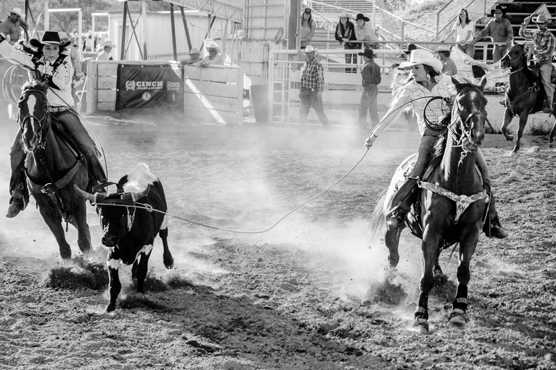 blackandwhite, cute  girl, cowgirls, beautiful, outdoors, animal, cowboys, Girls, black And White, blackwhite, horse, people, horses, 5K, brown, rodeo