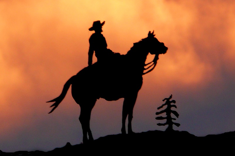 working animal, farmland, iron horserider, person, herbivorous, livestock, stallion, vertebrate, cloud - sky, sunset, rural, riding, horse, mammal, photo