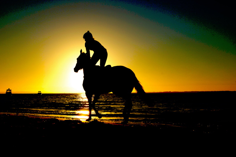 beach, horse, herbivorous, activity, water, ocean, animal themes, riding, animal wildlife, outdoors, animal, sunset, domestic animals, seating, sea, horseback riding