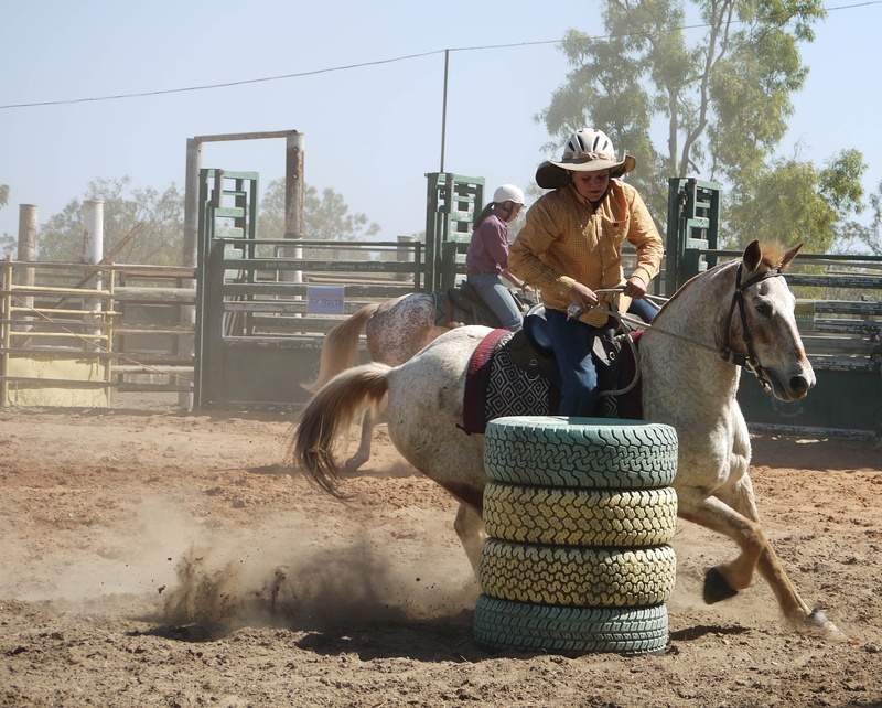 riding, horse, rodeo, arena, barrel racing, reins, dirty, two, daytime, person, competition, domestic animals, adrenaline, 2K, fast, working animal, run