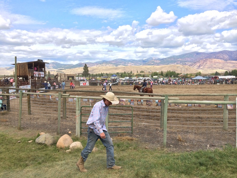 cloud - sky, west, sky, landscape, field, ranch, cowboy, land, bucking, rider, pets, one animal, 2K, livestock, hat, cattle, nature, boots, outdoors, horseman