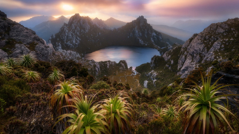 forest, morning, 1080P, plant, land, vegetation, rock, national park, outdoors, tranquil scene, sky, sunset, southwest national park, wilderness, mountain
