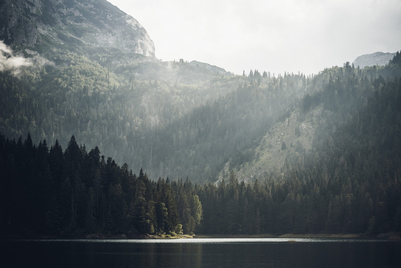 forest, reflection, green Color, hill, green, day, sunlight, river, extreme Terrain, canada, fog, rock - Object, beauty In Nature, mist, wild, tranquil Scene