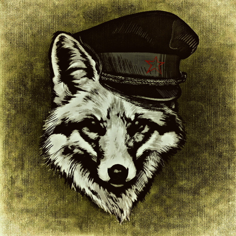 gray, home interior, funny, one animal, pets, close-up, animal, abstract, looking at camera, creative, dog, vertebrate, mammal, no people, wild, wolf, cap