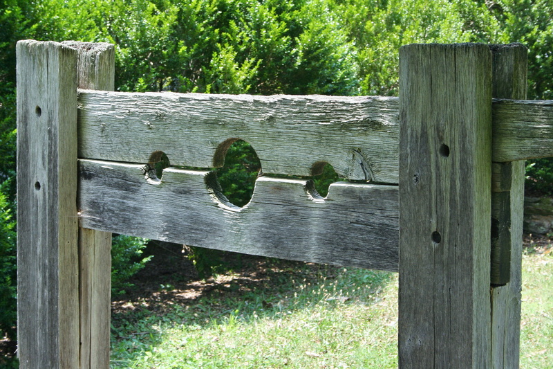 penalty, near, leafed, day, daytime, grass, wooden, beige, medieval, wood - material, 2K, device, no people, green, stand, security, green color, wood
