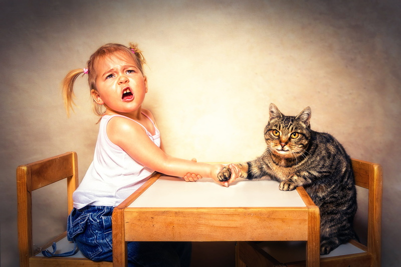 Arm Wrestling, cat, 1080P, girl