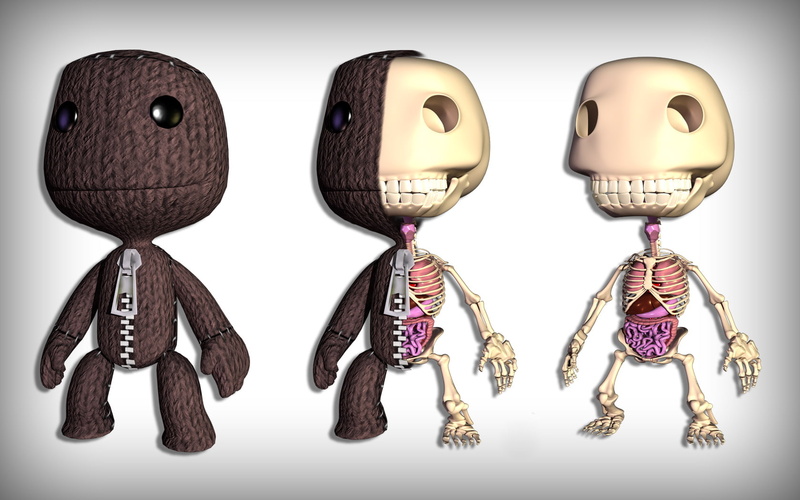 anatomy, sackboy, littlebigplanet, skeleton, video games, hd, 720P, bones