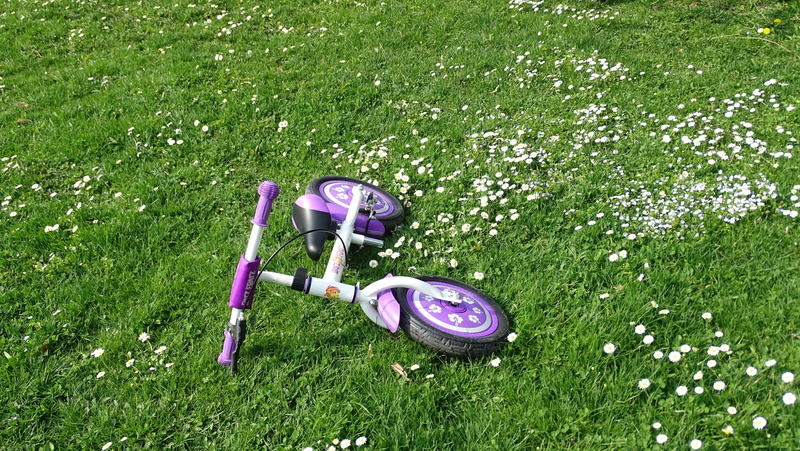 growth, bi, outdoors, leisure, ride, close-up, flower, wheel, flowering plant, land, full length, 5K, no people, cycle, active, outdoor, bike, summer