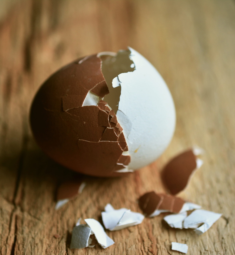 open, egg yolk, 4K, fragility, food, empty, still life, close-up, wood - material, white egg, wellbeing, hens egg, freshness, healthy eating, contrast