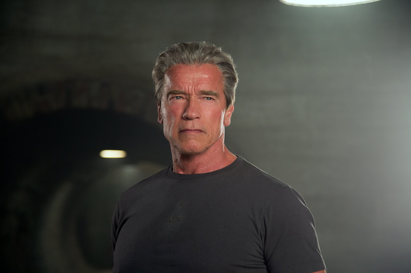 sport, schwarzenegger, mature adult, looking at camera, confidence, men, Terminator 5, 5K, headshot, males, terminator, adult, portrait, Terminator Genisys