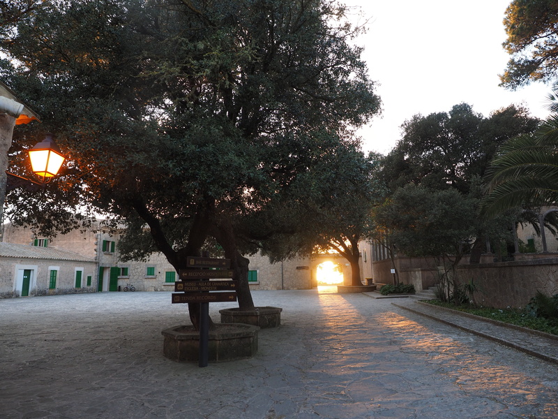 4K, place of pilgrimage, footpath, mallorca, park bench, sky, building, built structure, outdoors, the way forward, street, city, cura, dusk, algaida
