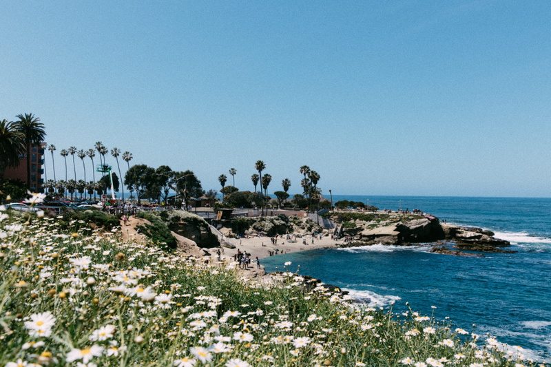 water, nature, horizon over water, beach, tranquil scene, sky, growth, summer, clear sky, scenics - nature, vintage, copy space, retro, san diego, day