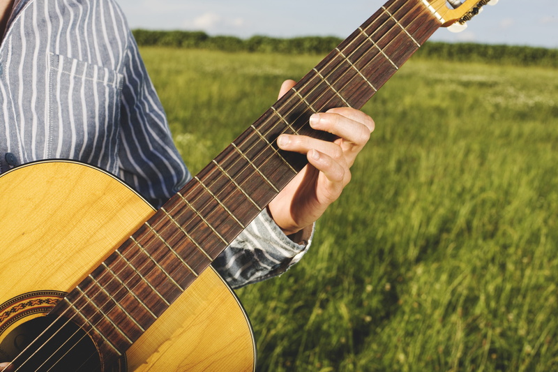 musical equipment, fun, string, classical, field, entertainment, holding, human body part, leisure, country, guitarist, sound, midsection, bowed stringed instrument