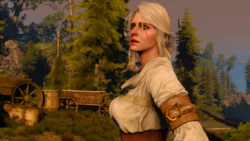 1080P, The Witcher, Cirilla Fiona Elen Riannon, Cirilla, Ciri, The Witcher 3: Wild Hunt