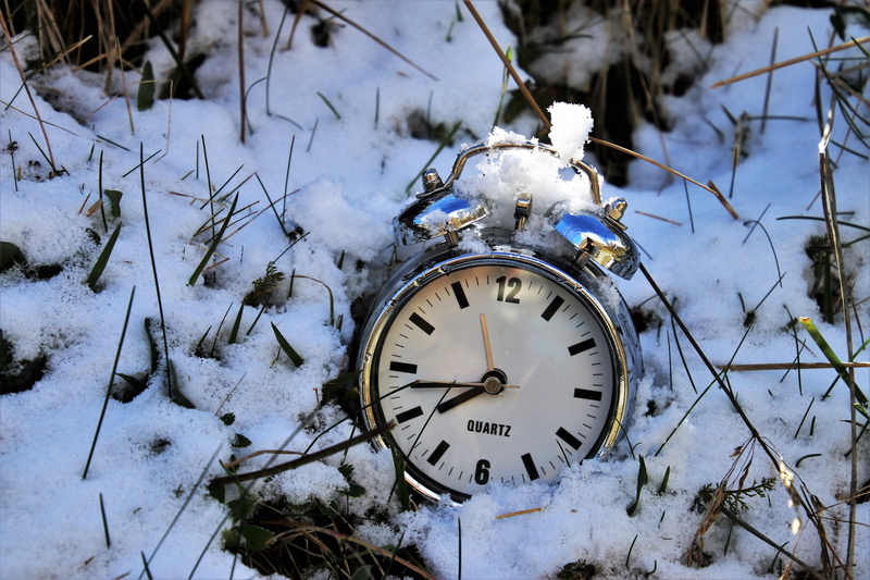 in the shadows, parish, covering, in passing, alpine, focus on foreground, meadow, 5K, field, symbol, morning, day, grass, shield, accuracy, clock face