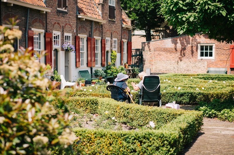 plant, old, beauty in nature, conversation, hedge, green Color, no People, house, sitting, residential district, real people, Lost in time, building, growth