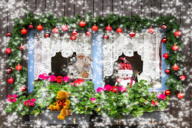 christbaumkugeln, gift, outdoors, 2K, plant, flowers, building exterior, christmas motif, snowfall, geranium, tree, nature, flowering plant, window, teddy