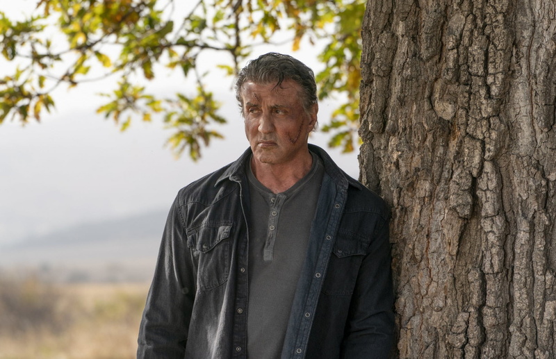 Gray Shirt, Rambo 5: Last Blood, 1080P, leather jackets, black jackets, Sylvester Stallone, gray hair, Rambo
