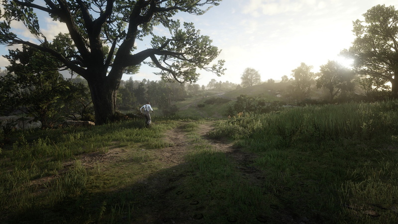 1080P, PCMR, Red Dead Redemption 2, environment, screen shot