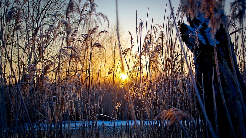 outdoors, beauty In Nature, blue, tranquility, sun, cold, lake, scenics, dusk, growth, brown, sunrise - Dawn, field, sky, water, season, 1080P, nature