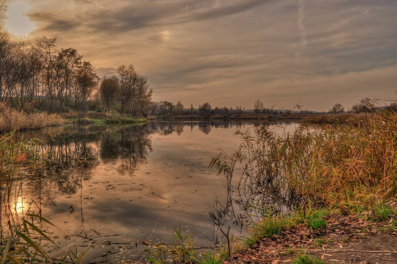 scenics, dusk, blue, forest, woodland, swamp, no People, brown, wetland, green, rural Scene, river, sky, water, autumn, beauty In Nature, grass, plant