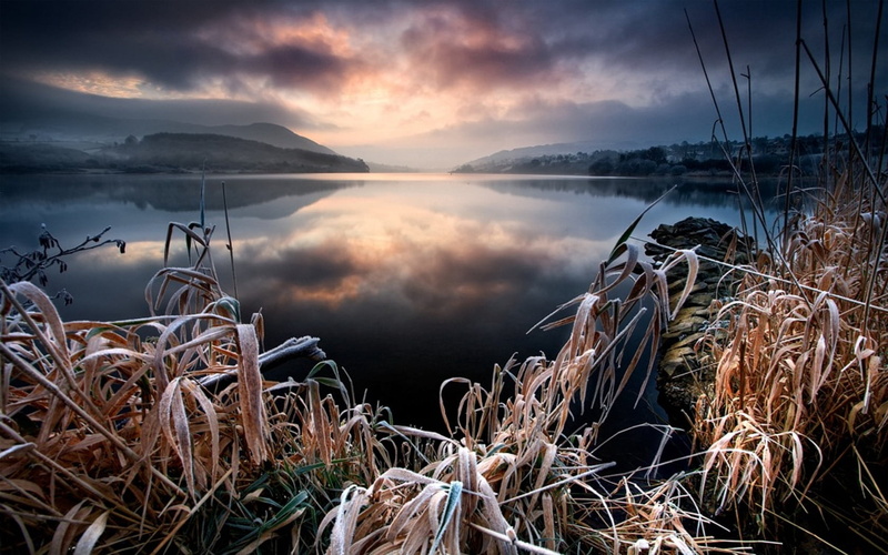 forest, sun, sunrise - Dawn, lake, water, grass, reflection, beauty In Nature, dawn, scenics - nature, non-Urban Scene, sunlight, body, cloudscape, autumn
