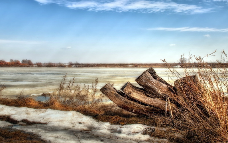 sky, cold temperature, reed - Grass Family, beach, plant, waters Edge, sea, log, autumn, wood - Material, tree, season, water, blue, beauty In Nature, marsh
