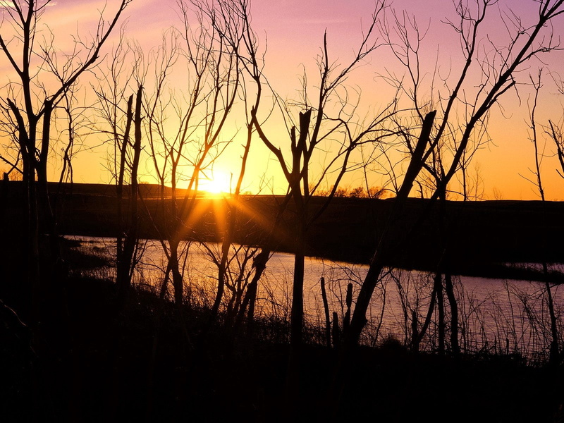 morning, twilight, horizon, outdoors, sunrise - Dawn, scenics - nature, water, tranquil Scene, bare tree, back Lit, reflection, landscape, summer, grass