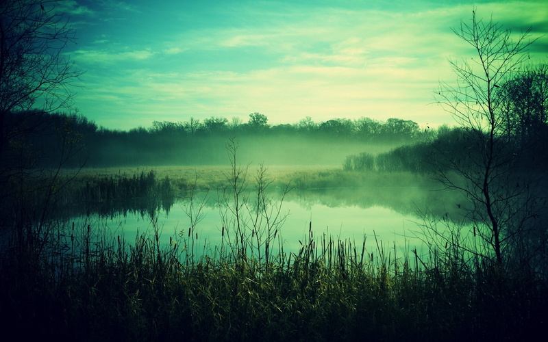 pond, tree, nature, backgrounds, meadow, outdoors, scenics, woodland, no People, sky, light - Natural Phenomenon, landscape, cloud - Sky, sunlight, sun