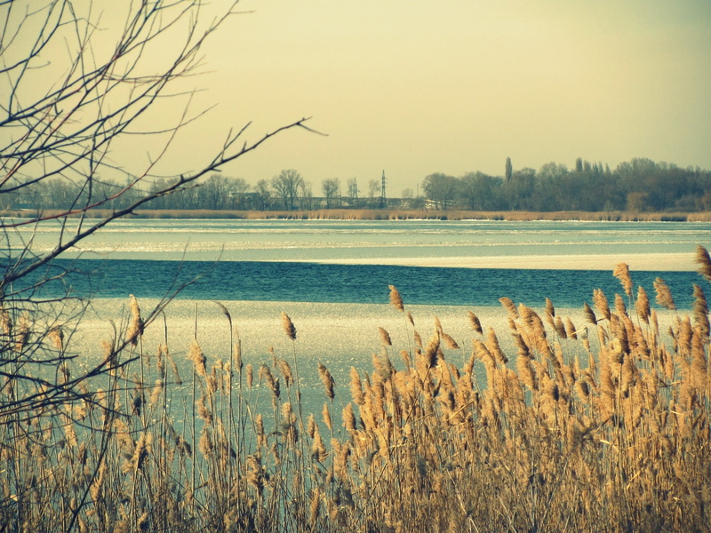 fields, landscape, river, petaled, plant, autumn, no People, lake, season, tranquil Scene, 2K, morning, rural Scene, field, cold - Temperature, snow, coast