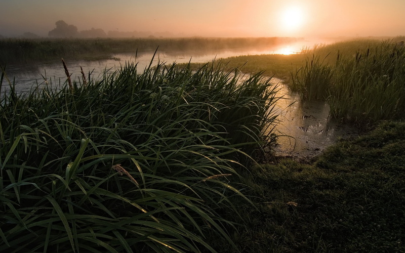 rural Scene, reflection, growth, river, scenics, sunset, idyllic, lake, dawn, tranquil Scene, sunrise - Dawn, land, summer, nature, green, night, tree