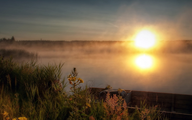 tranquility, morning, sunset, idyllic, lens flare, cloud - Sky, 720P, bright, sun, non-Urban Scene, dawn, tree, reflection, outdoors, light, yellow, season