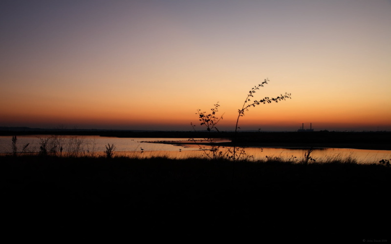 sunlight, sunset, tranquil Scene, twilight, landscape, grass, outlines, summer, body, no People, sea, silhouette, water, beauty In Nature, bushes, morning