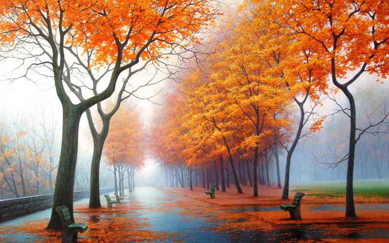 hd, art, seasons, season, rain, bench, Landscapes, parks, 2K, nature, autumn, fog, orange, trees, leaves, water, x
