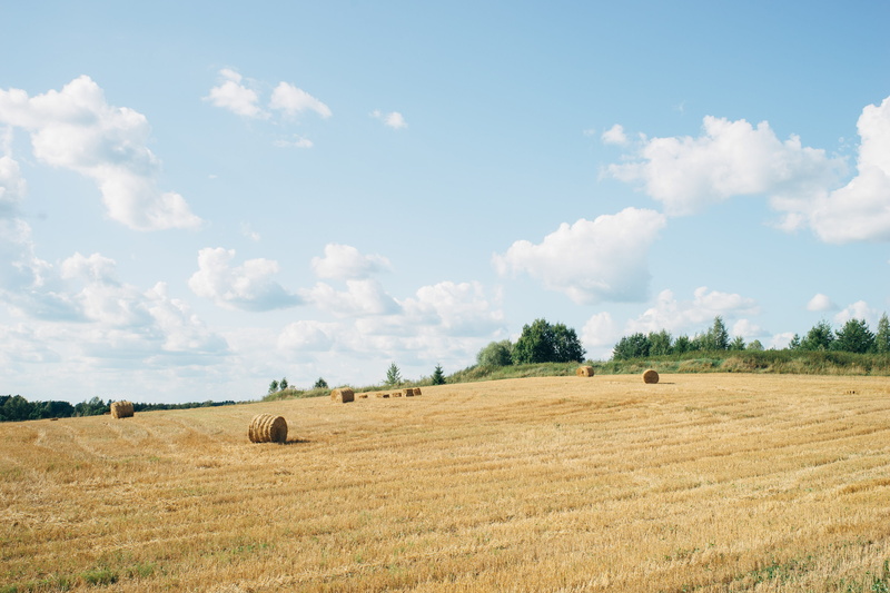 sky, land, season, plant, agriculture, harvesting, beautiful, countryside, straw, natural, blue, sun, cereal, tranquil scene, industry, crop, scenic, farmland