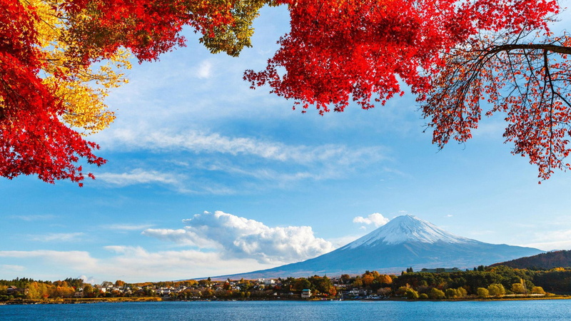 trees, scenic, clouds, fuji, 1080P, leaves, sky, rivers