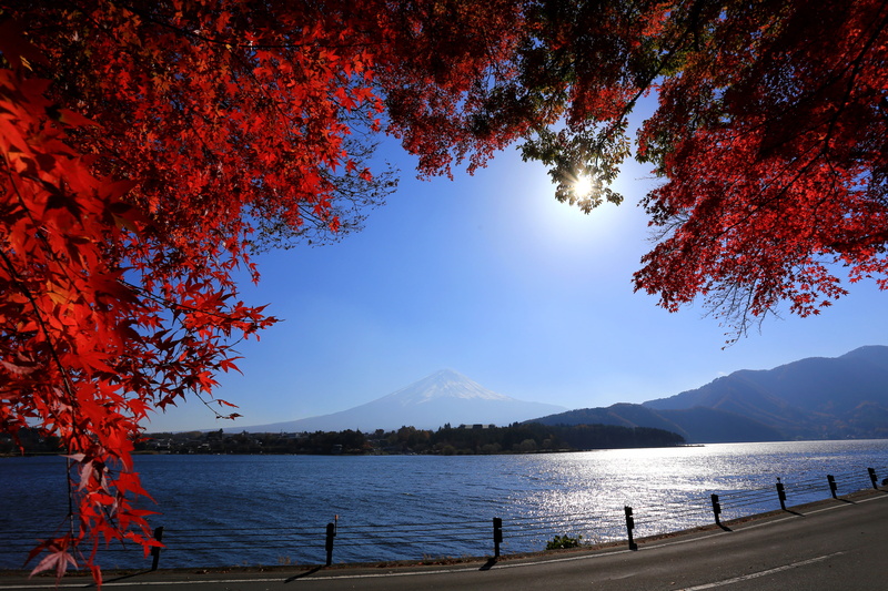 4K, branches, mountain, leaves, Japan, road, river, Fuji, Mount Fuji