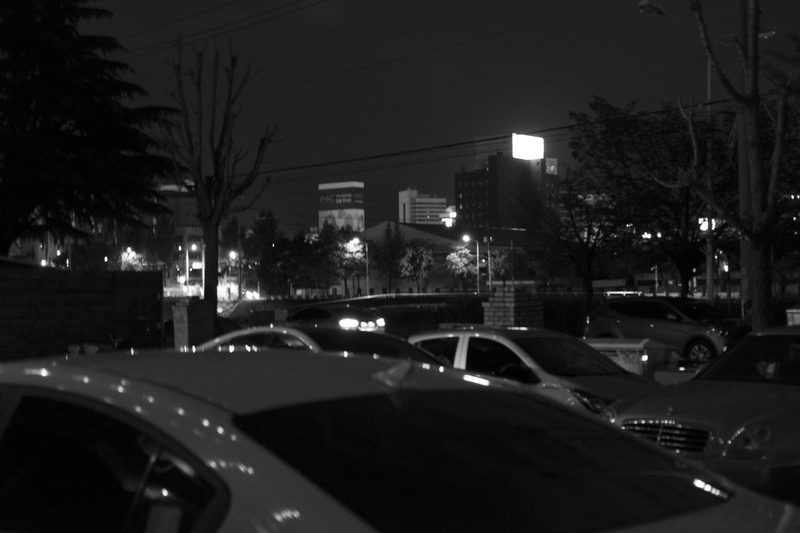 no people, monochrome, street light, tree, motor vehicle, transportation, tropical climate, car, road, fuji, mode of transportation, korea, street, black