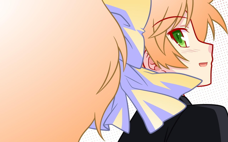 character, anime, illustration, test, himeji, 1080P, baka, mizuki himeji, mizuki, haired, baka and test, 1920x1200, orange