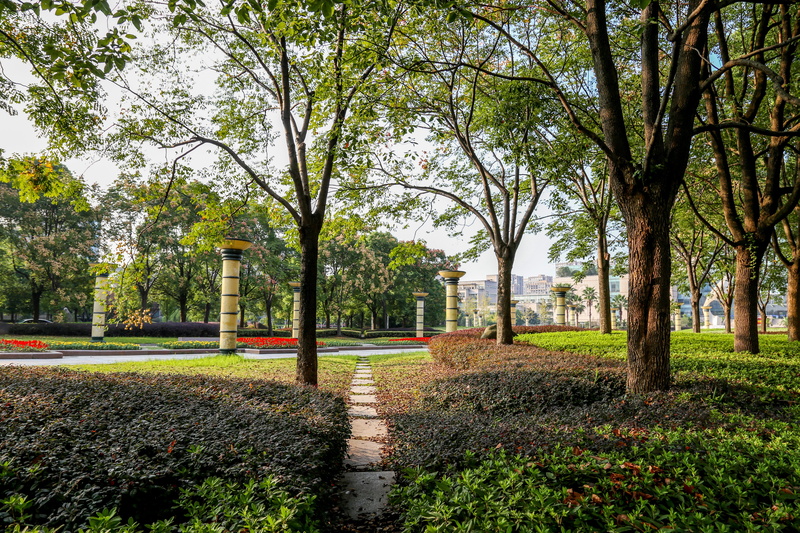 hedge, University, 5K, park, day, Zhejiang University, formal Garden, grass, footpath, no people, plant, beauty in nature, flowering plant, garden, green color