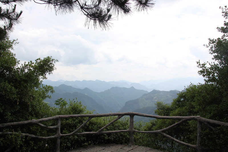 growth, tranquil scene, cloud - sky, outdoors, zhejiang, tree, scenics - nature, no people, sky, landscape, nature, nanjianyan, day, tranquility, railing