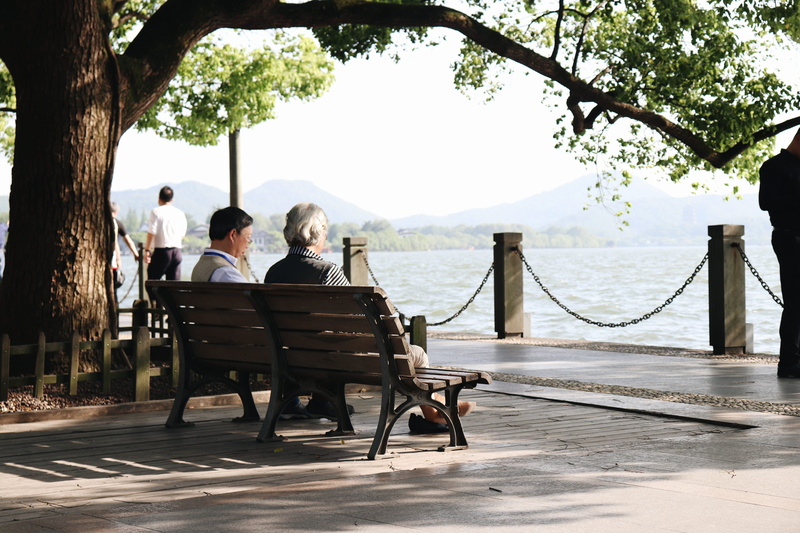 water, plant, men, bench, rear view, 5K, women, couple, group of people, togetherness, sitting, xihu, lifestyles, outdoors, nature, china, tree, people