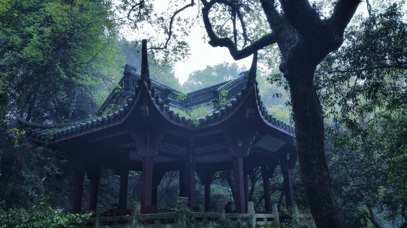 forest, place of worship, outdoors, cultures, religion, nature, no people, 5K, foggy road, architecture, built structure, tree trunk, east Asian Culture