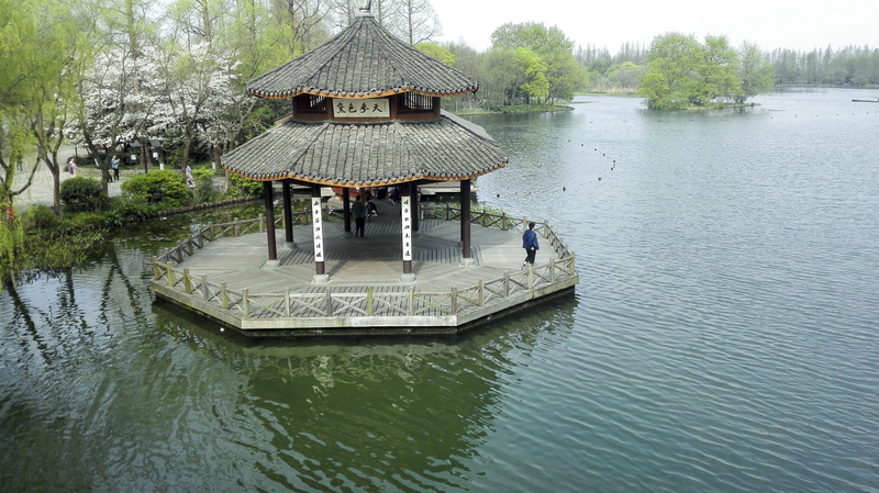 nature, pavilions, tranquility, gossip, 4K, park - man made space, built structure, park, gazebo, day, no people, beauty in nature, the scenery, plant