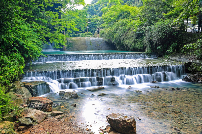 flowing water, jiuxi landscape pictures, beauty in nature, scenics - nature, rainforest, environment, flowing, tree, day, water, west lake, river, growth