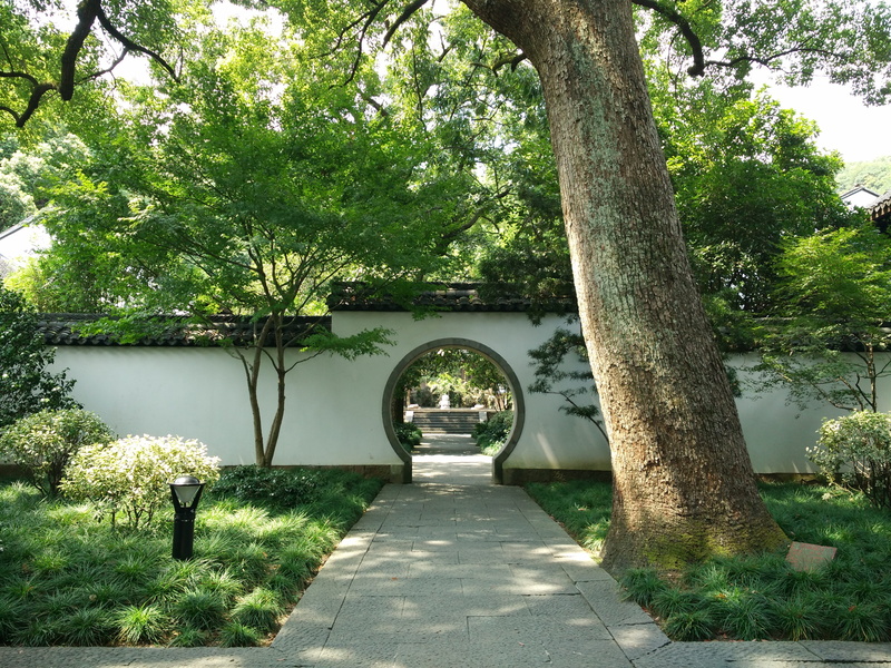arch, day, bridge - man made structure, architecture, tree, park, beauty in nature, Courtyard, Temple, tree trunk, trunk, built structure, the way forward
