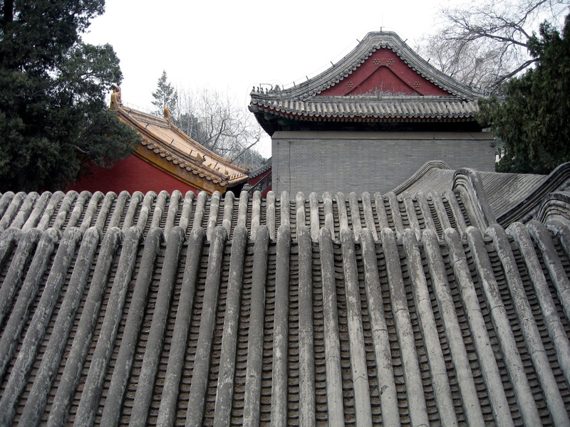 old, tourism, house, ancient, cultures, buddhism, roofing, japanese Culture, japan, tree, travel Destinations, chinese Culture, roof Tile, roof, china