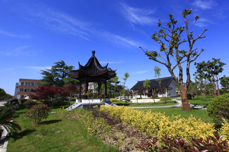 tree, cloud - sky, ornamental Garden, asia, spirituality, east Asian Culture, Garden, architecture And Buildings, Lawn, building, day, sky, temple - Building
