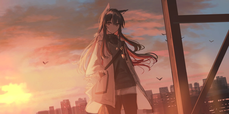 Chihuri 45, anime girls, birds, anime, animal ears, Arknights, 2K